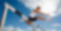 hurdle jpg.jpg