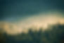 iStock-1866750622.jpg